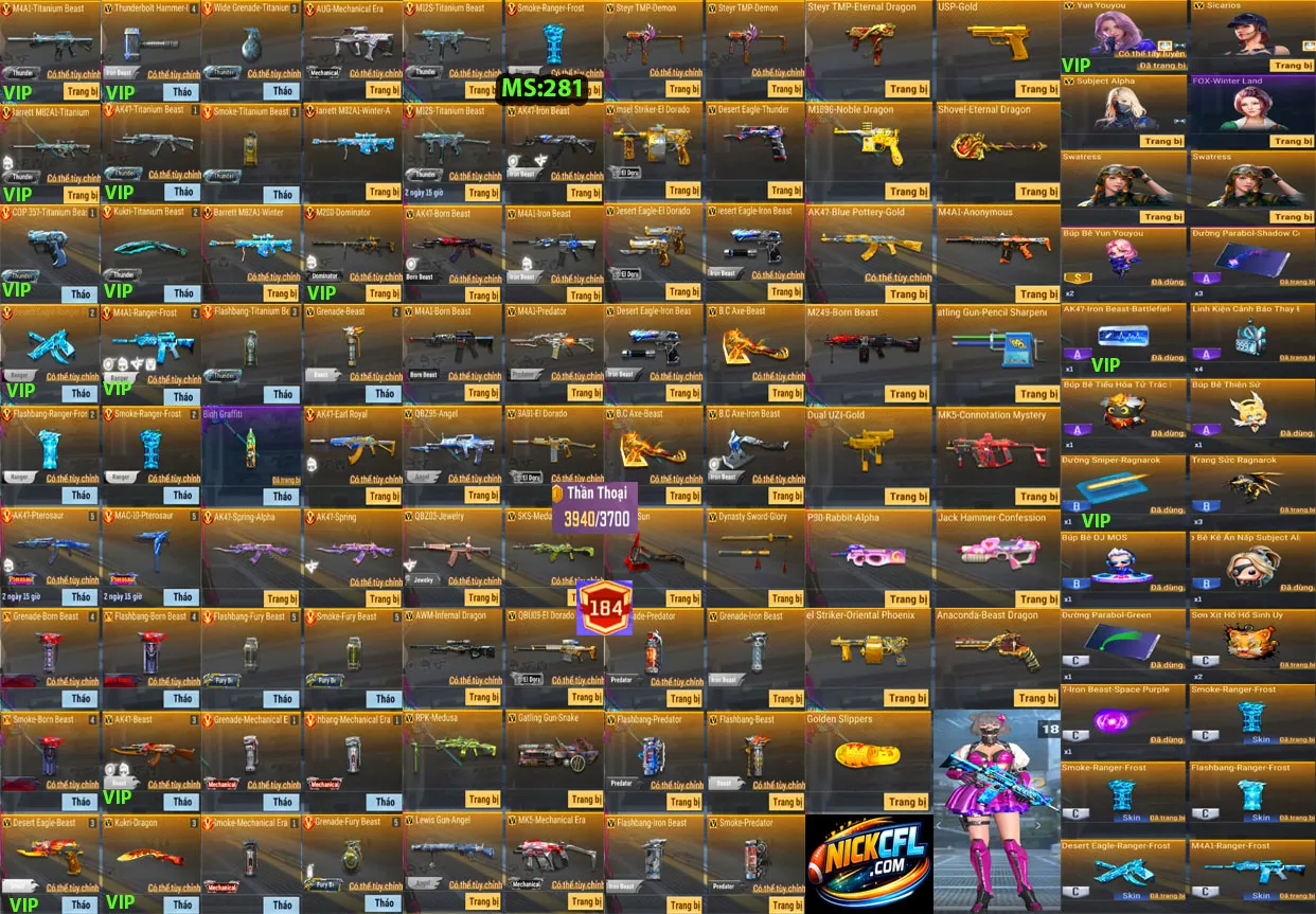 Account 281