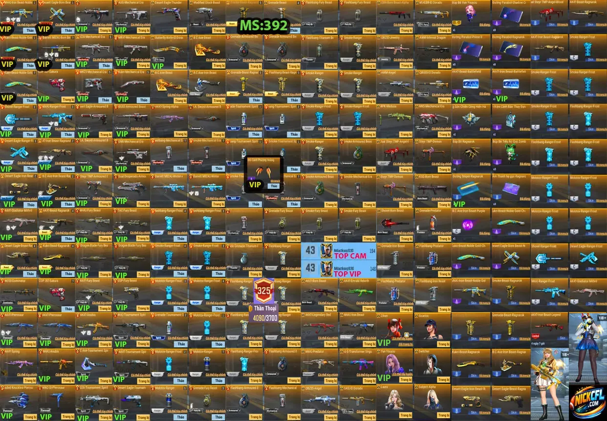 Account 392