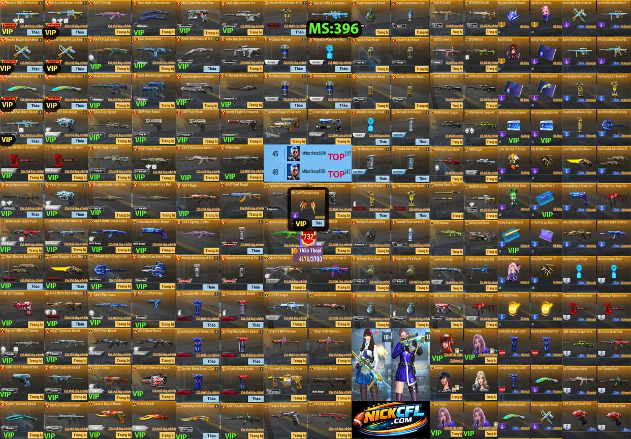 Account 396