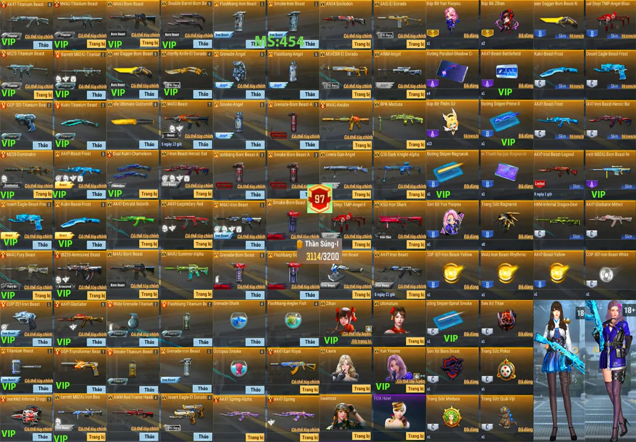 Account 454