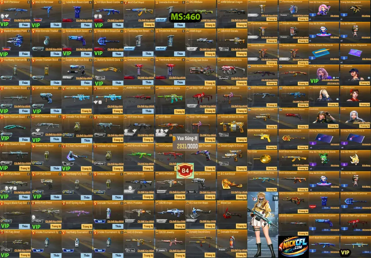 Account 460