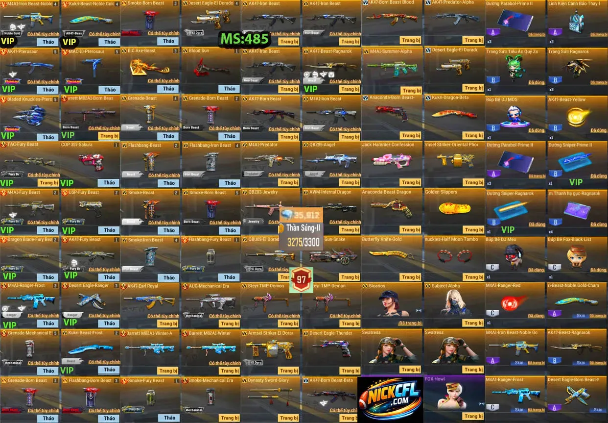 Account 485
