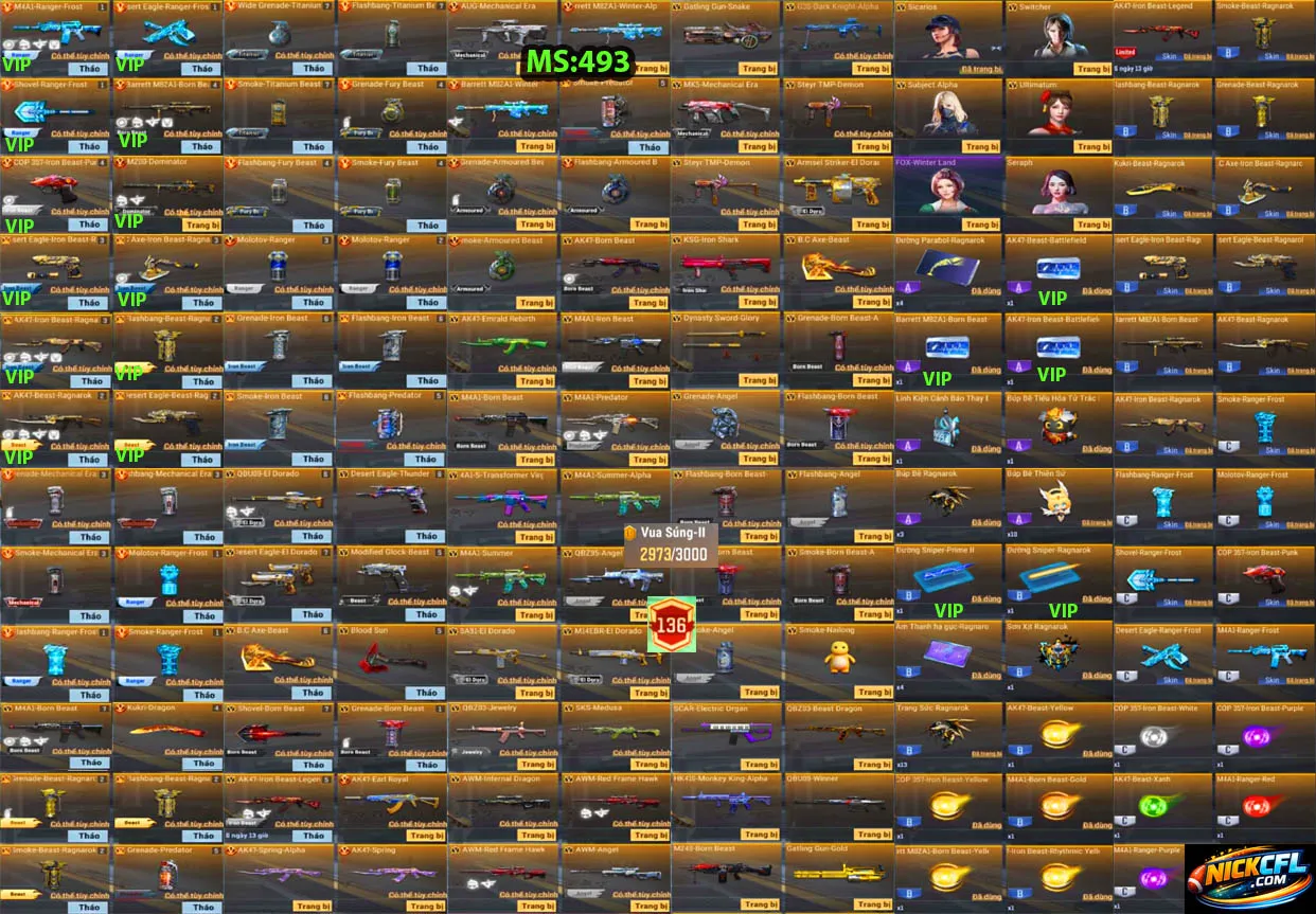 Account 493