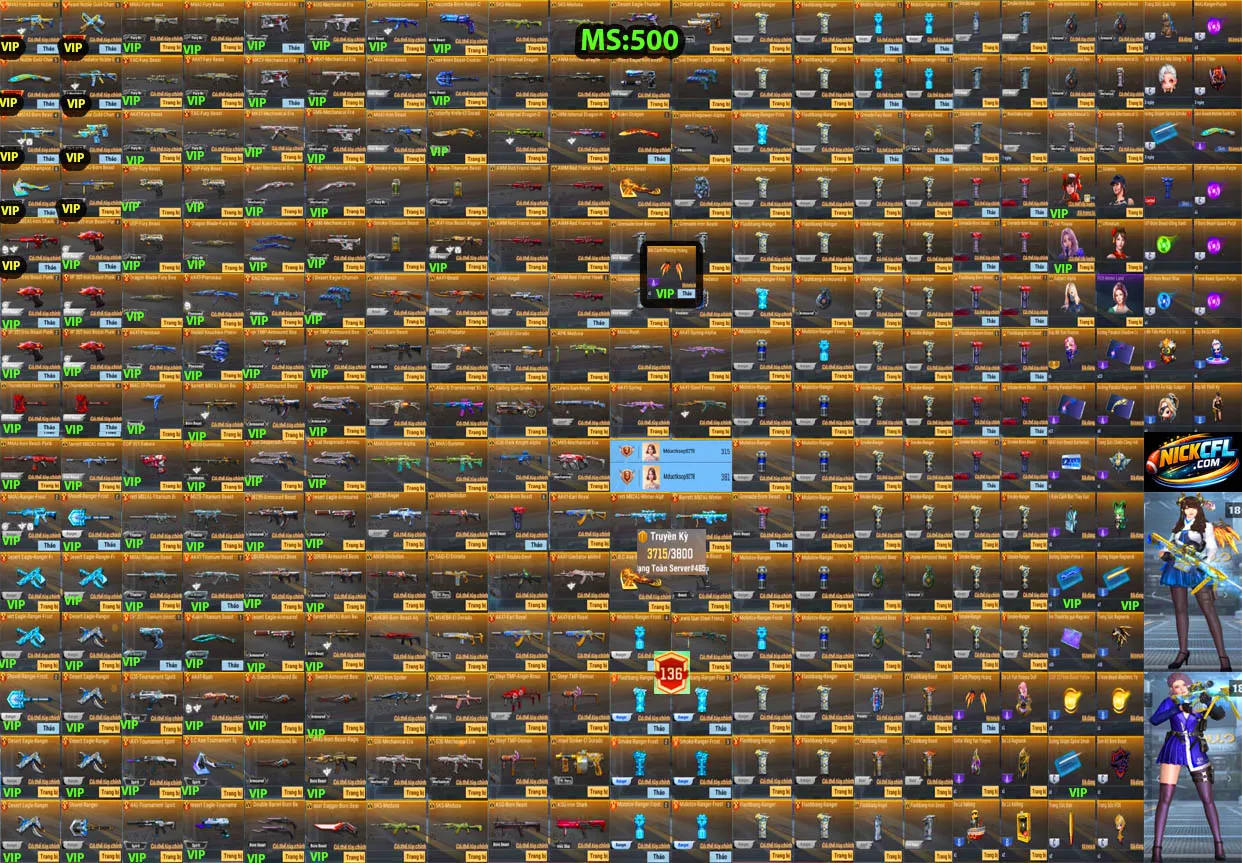 Account 500