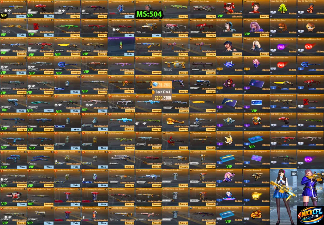 Account 504