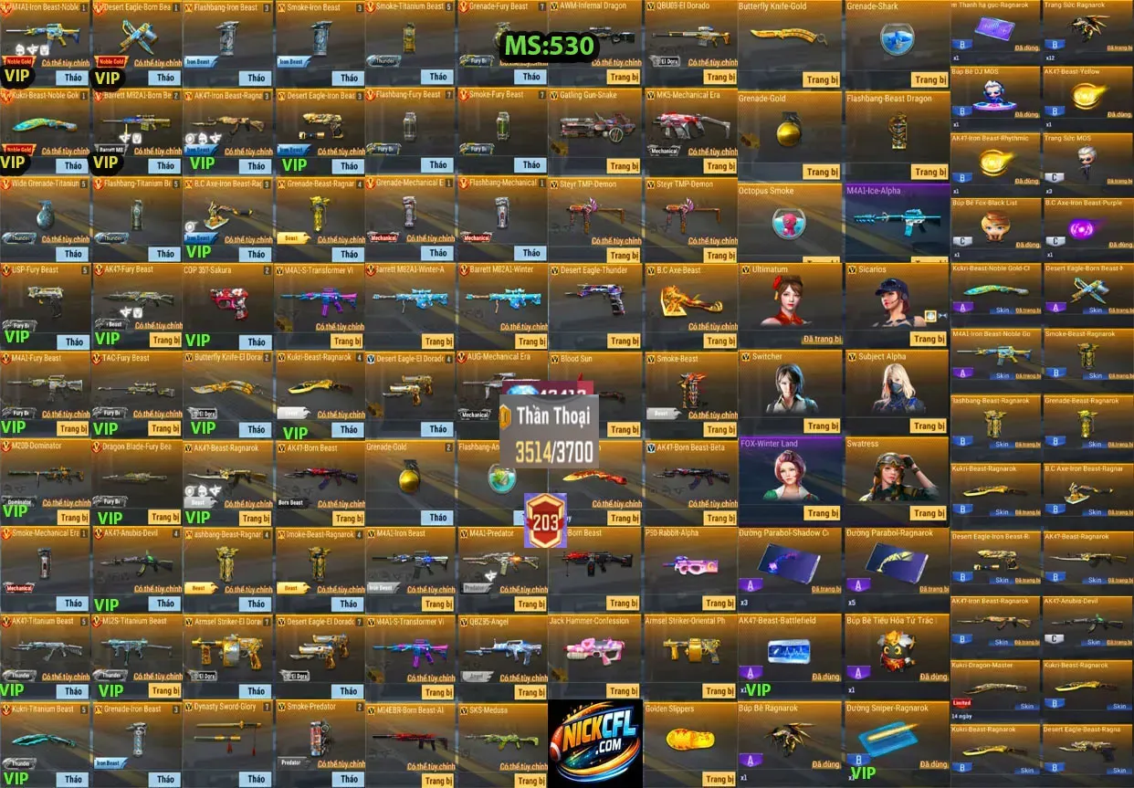 Account 530