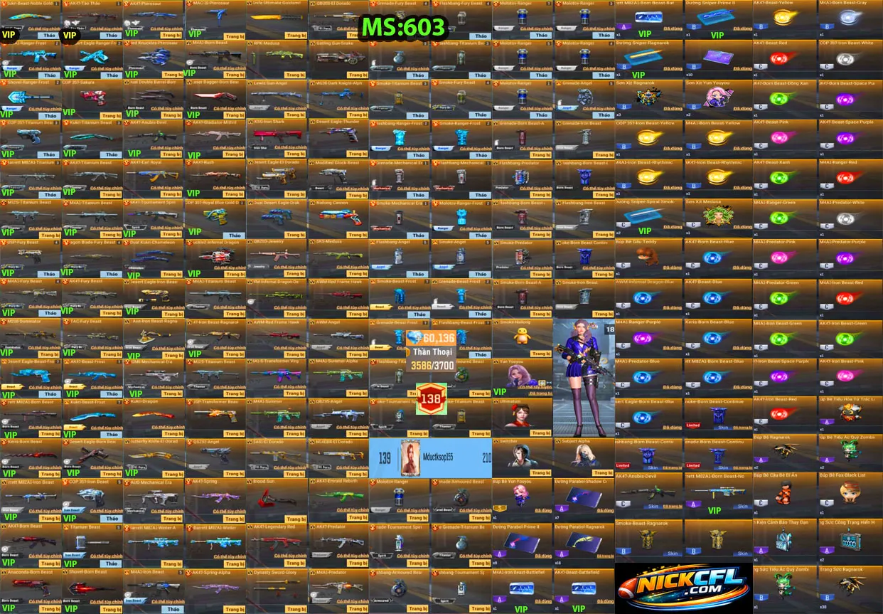Account 603