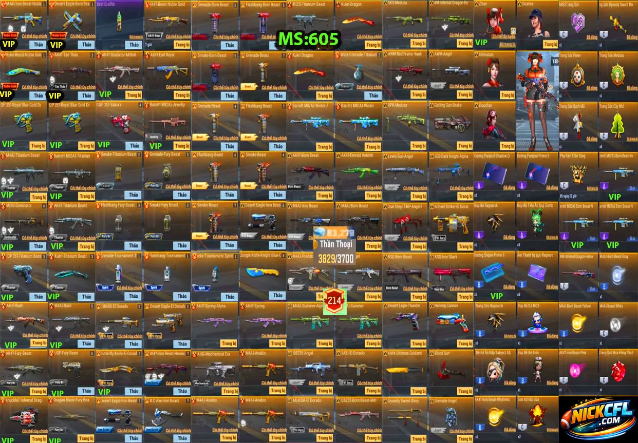 Account 605