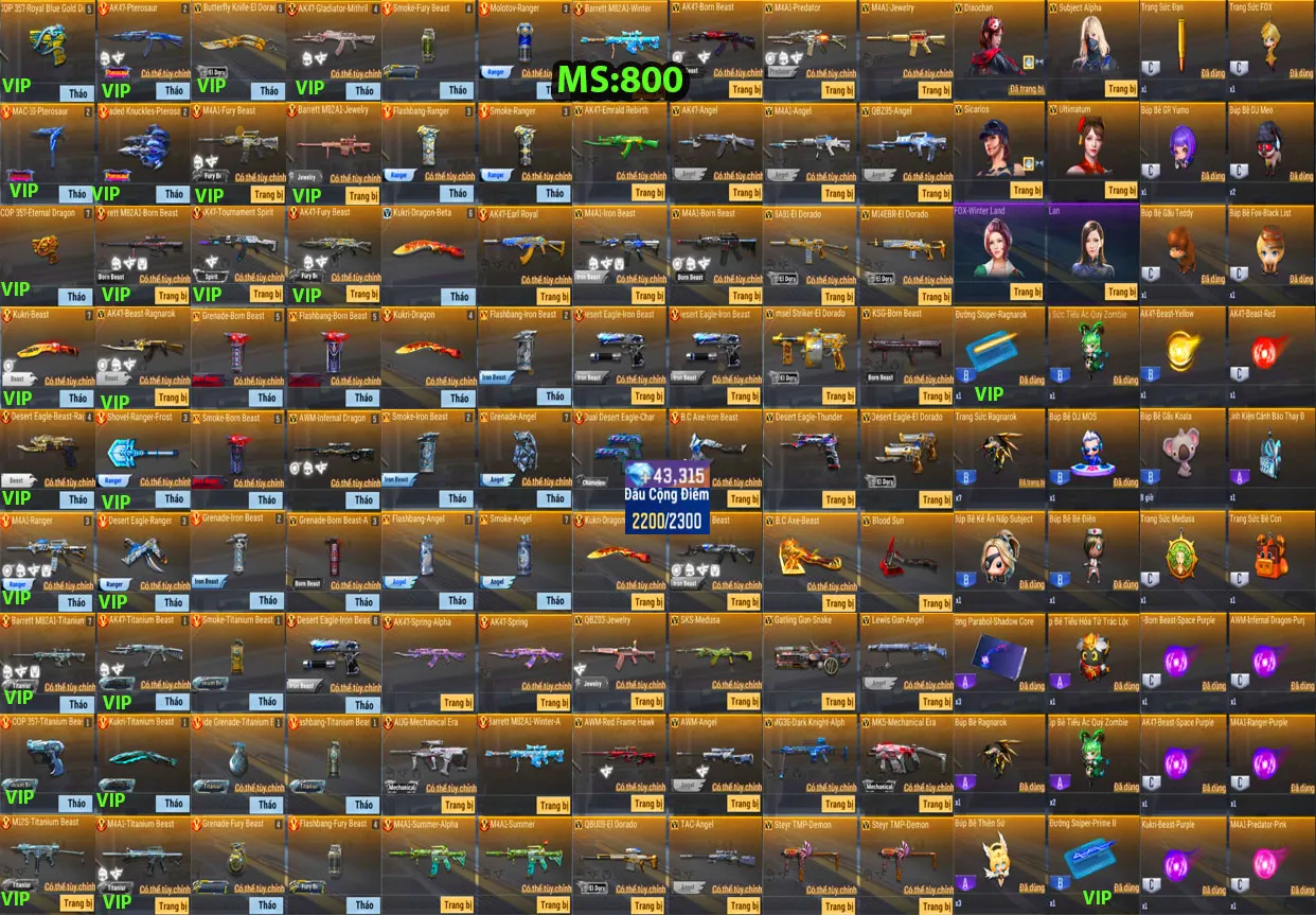 Account 800