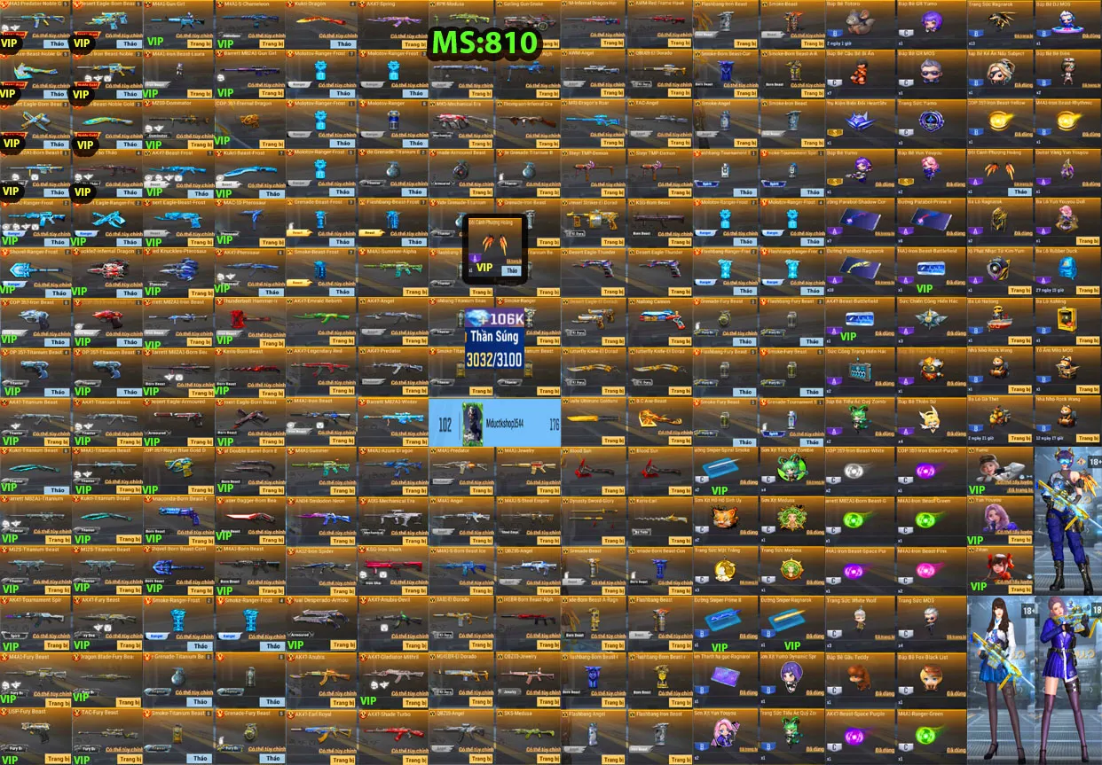Account 810