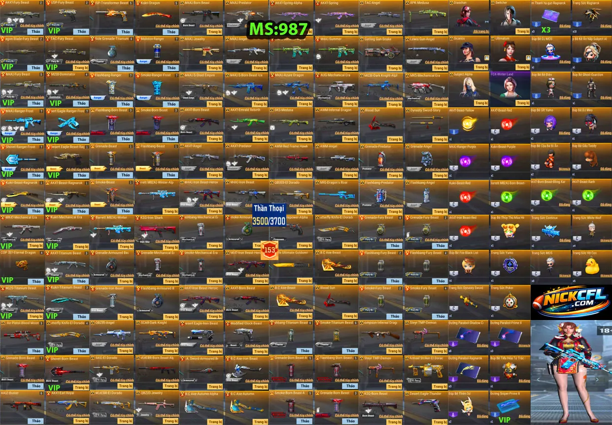 Account 987