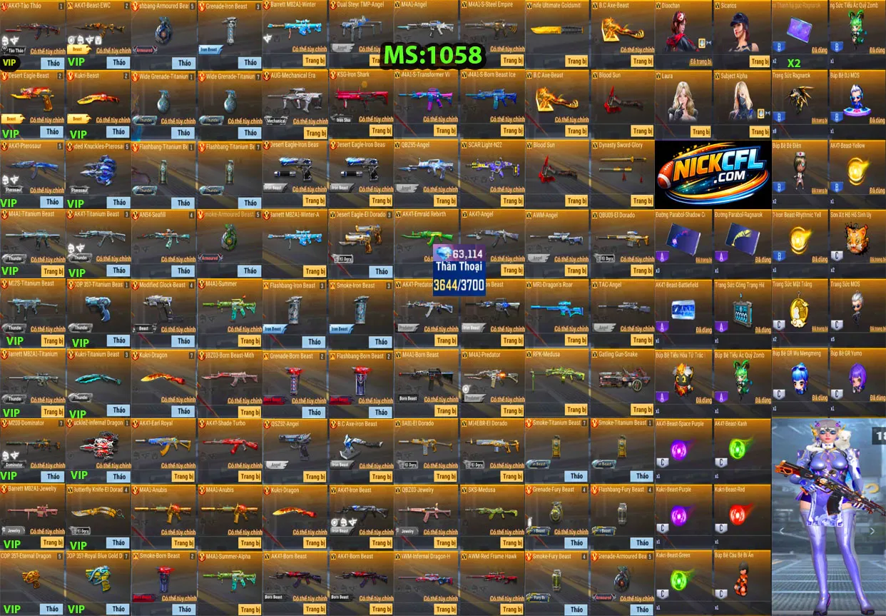 Account 1058