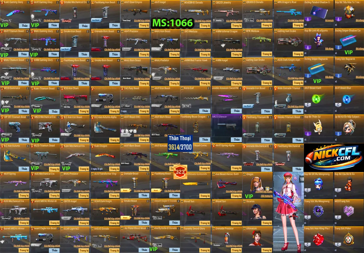 Account 1066
