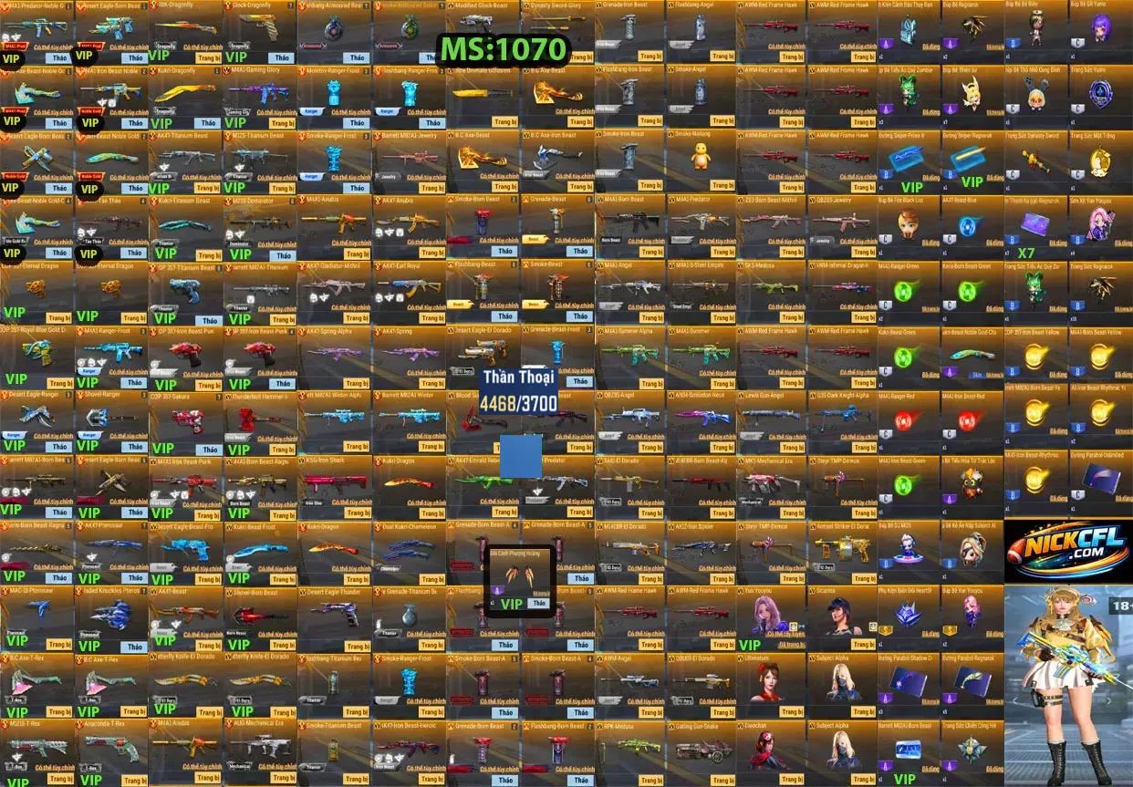 Account 1070