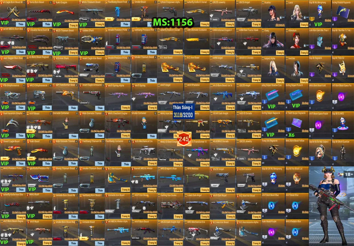 Account 1156