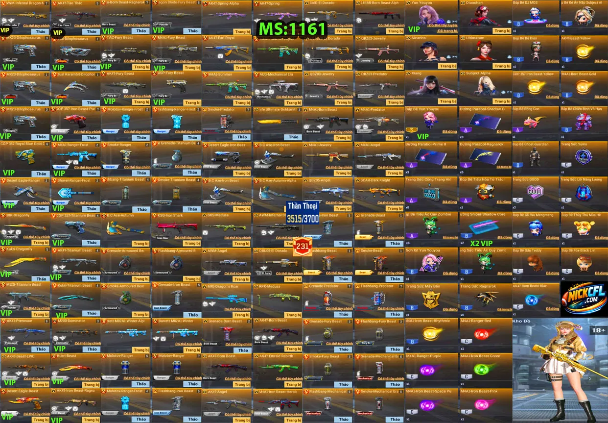 Account 1161