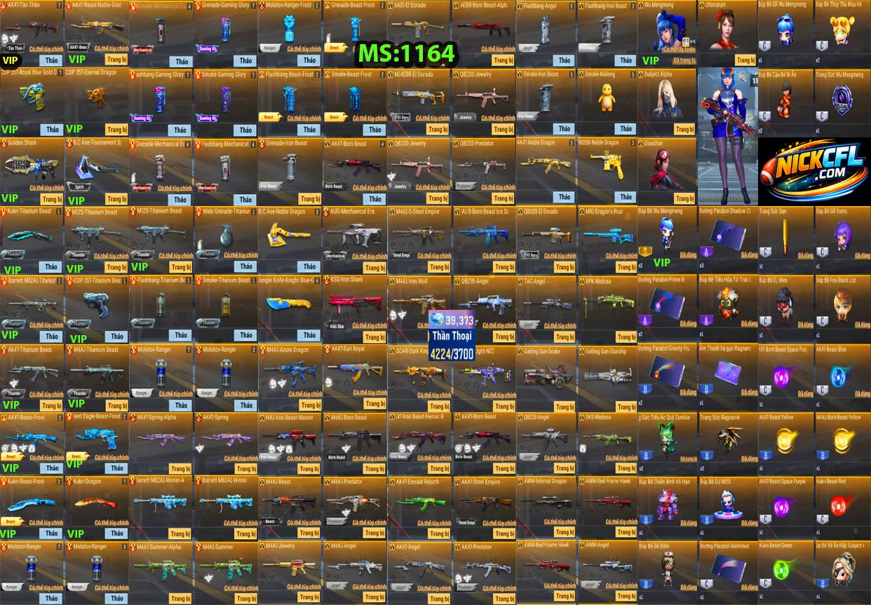 Account 1164