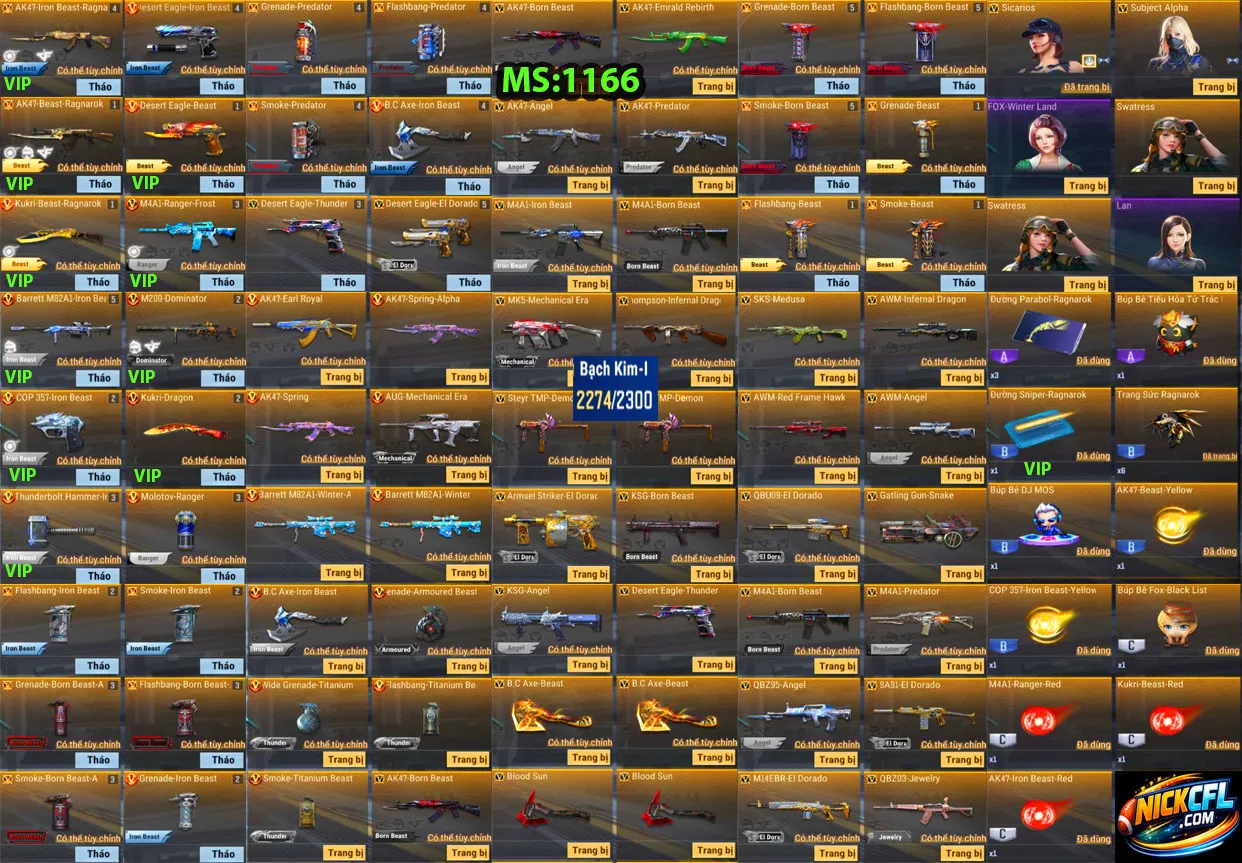 Account 1166