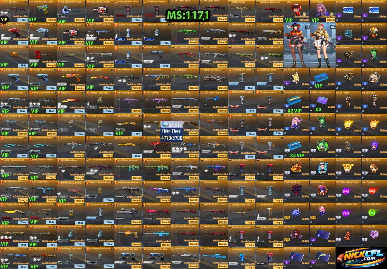 Account 1171