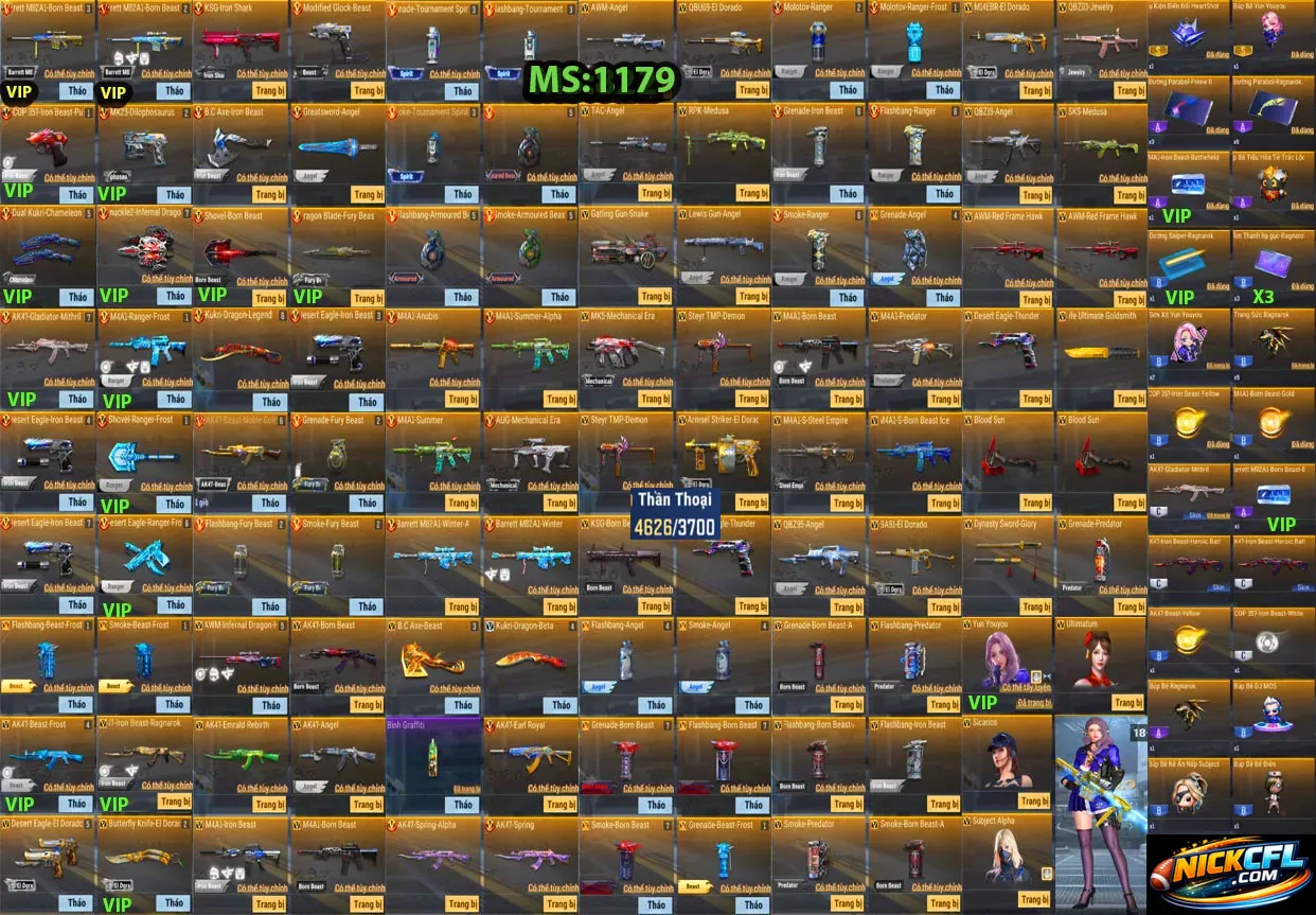 Account 1179