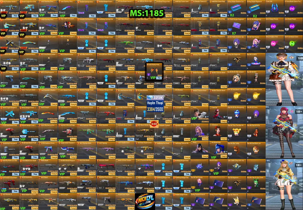Account 1185