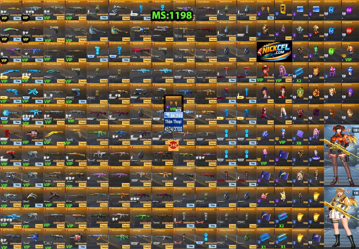 Account 1198