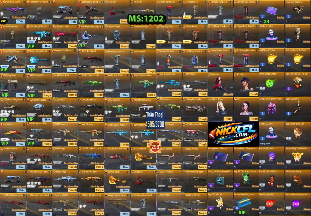 Account 1202