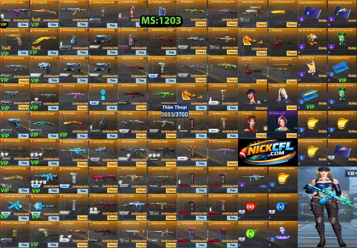Account 1203