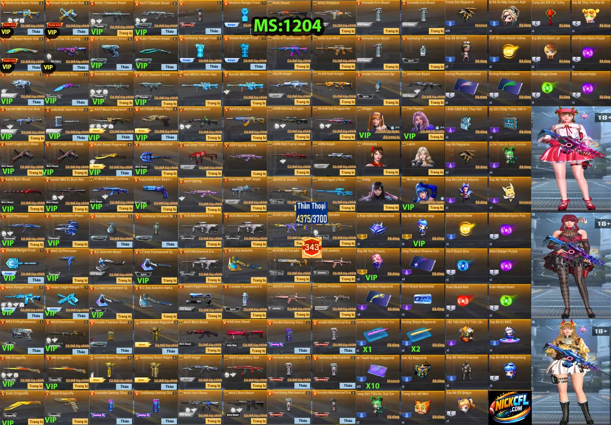 Account 1204