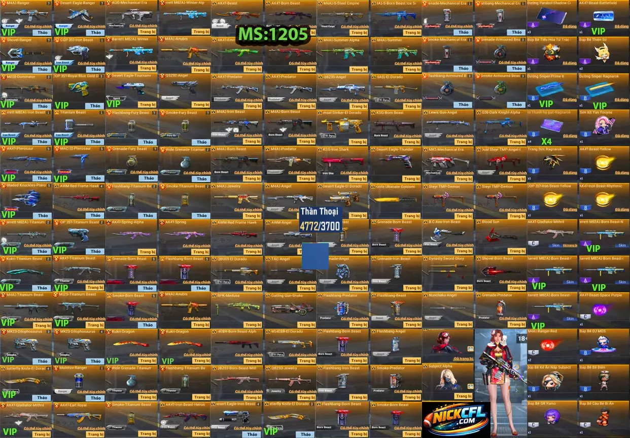 Account 1205