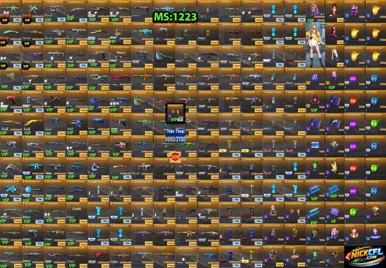 Account 1223