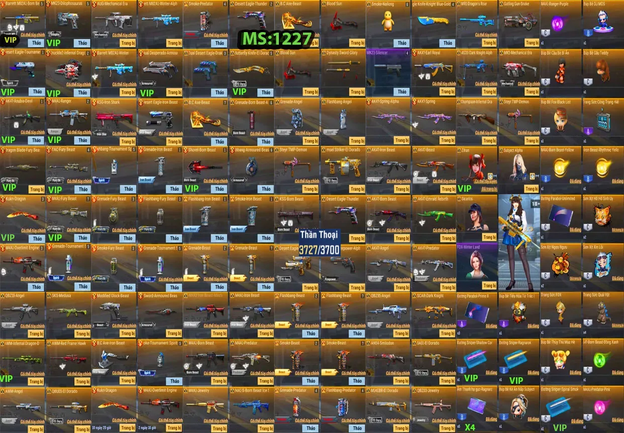 Account 1227