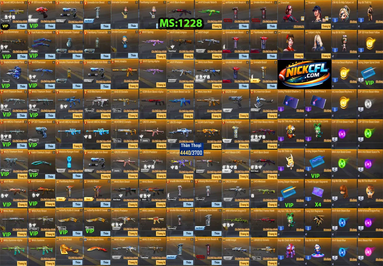Account 1228