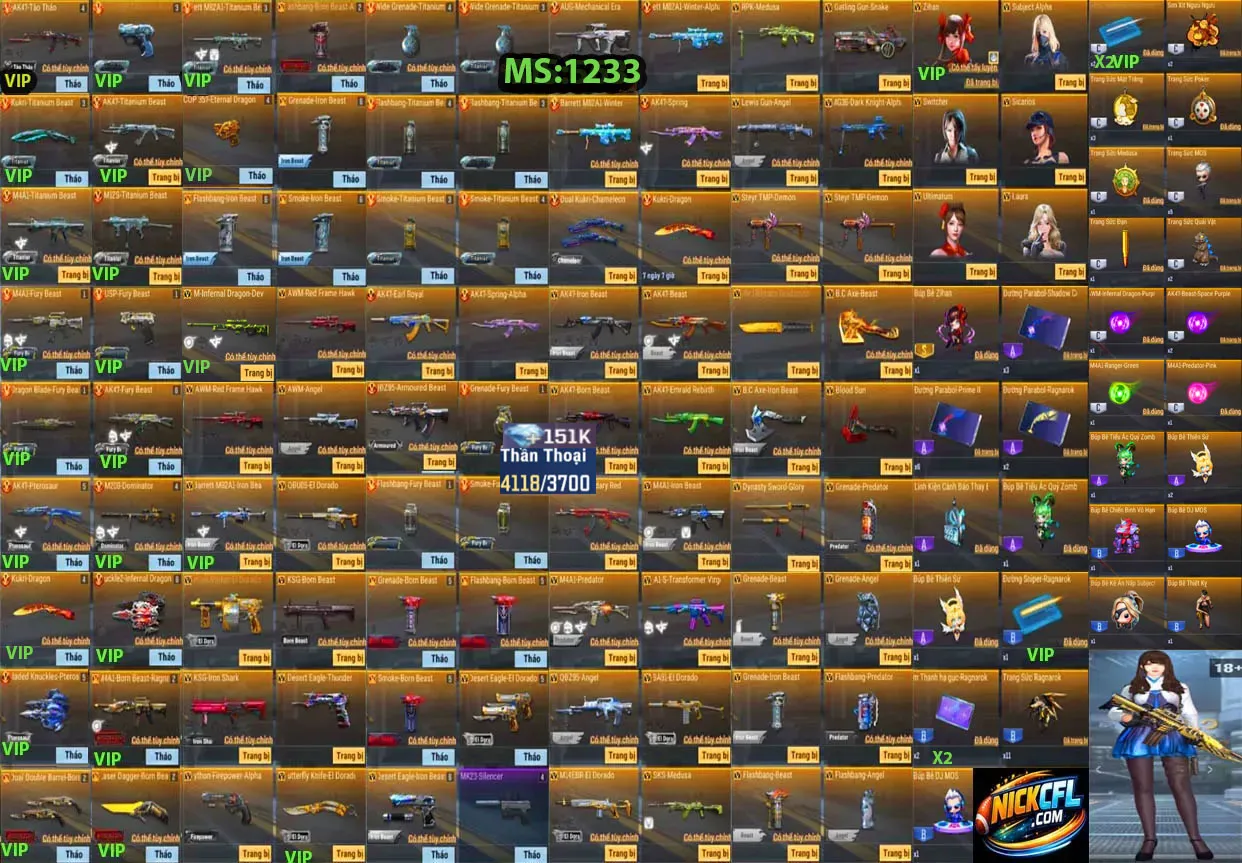 Account 1233