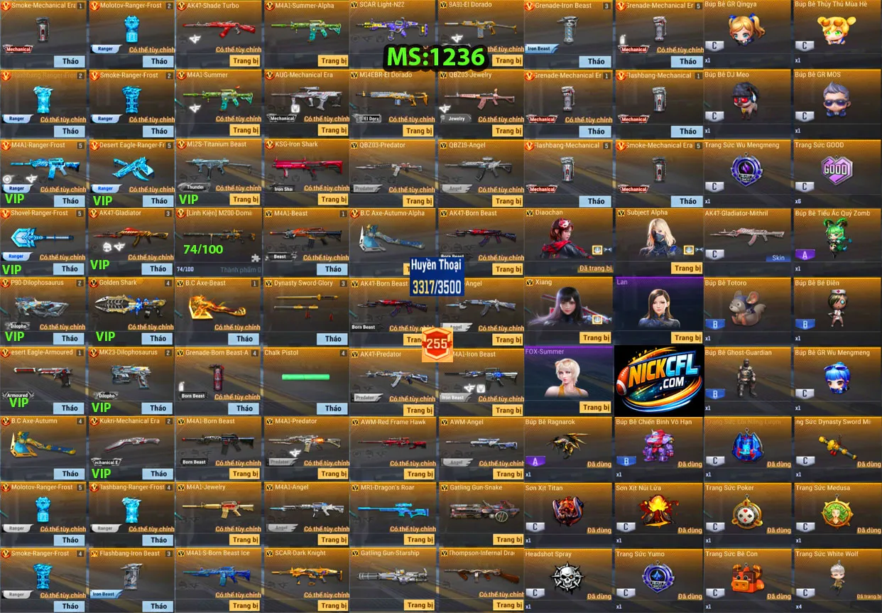 Account 1236