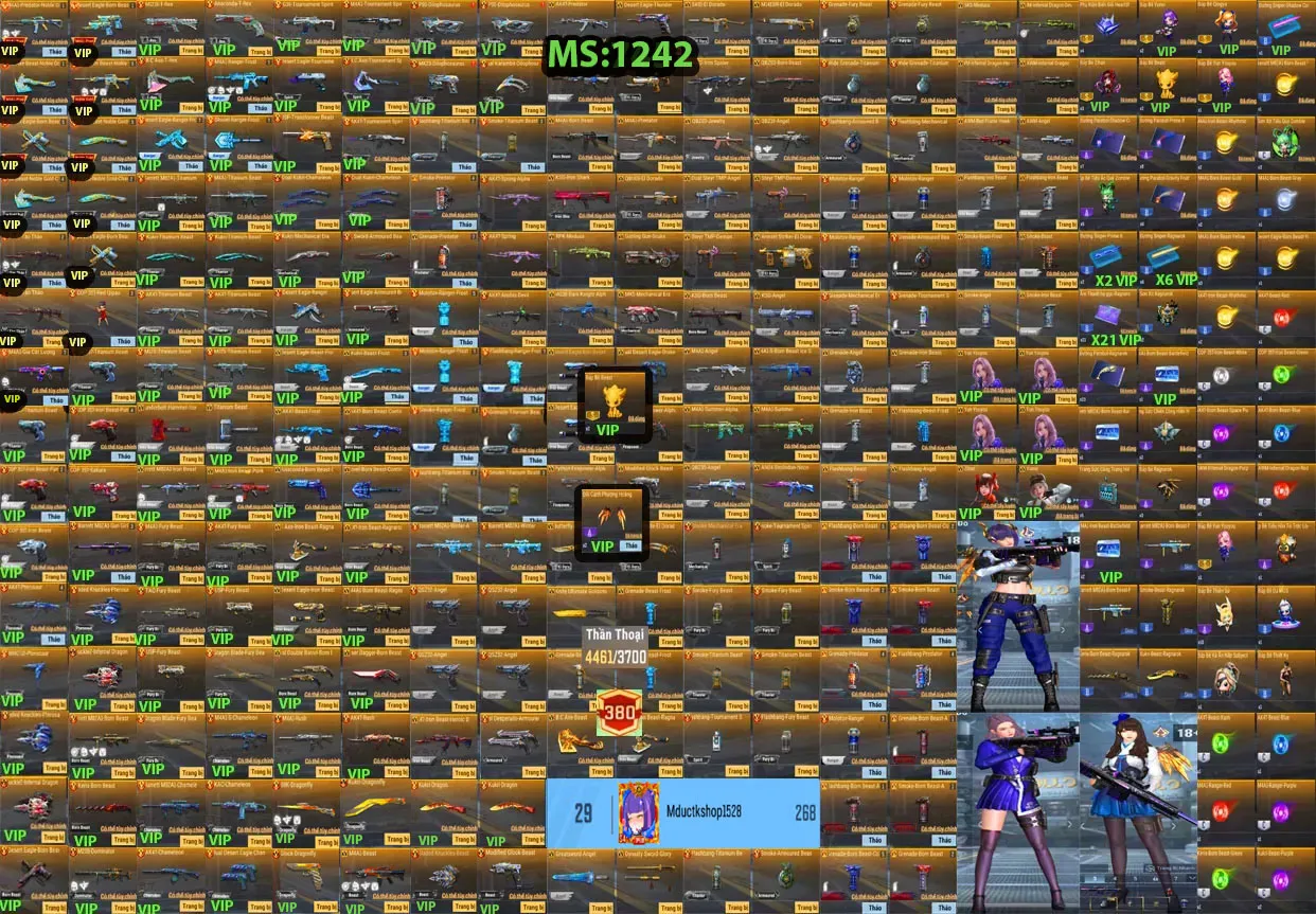 Account 1242