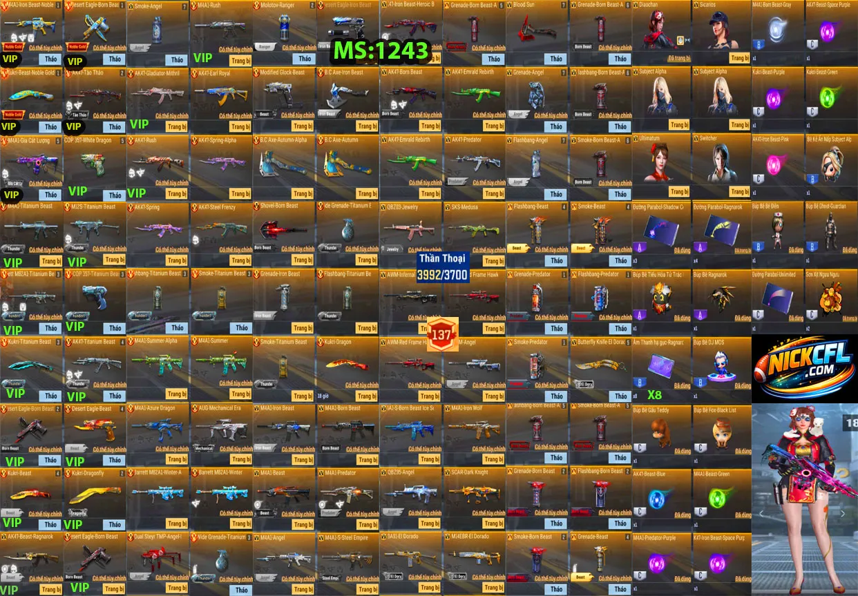Account 1243