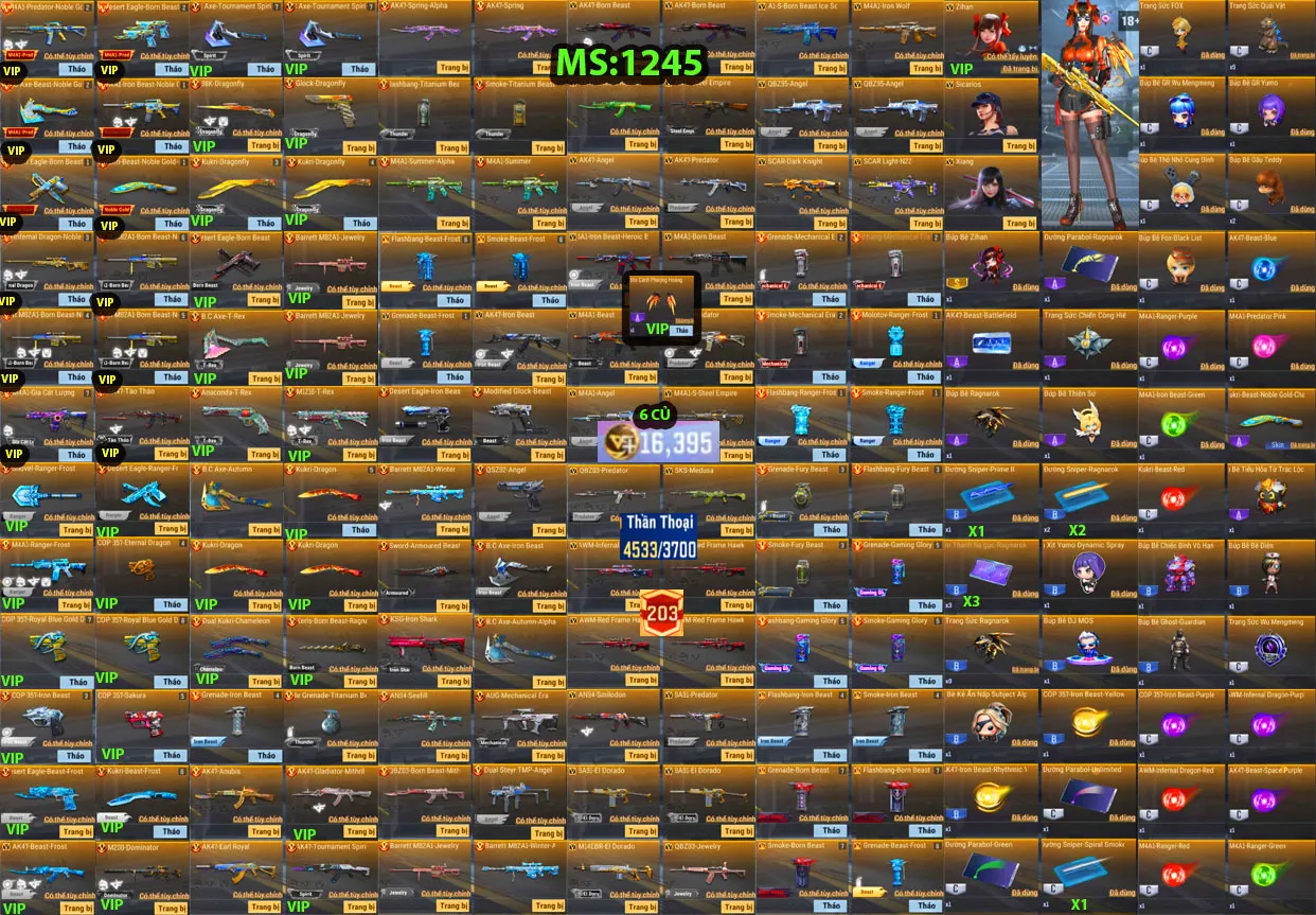 Account 1245