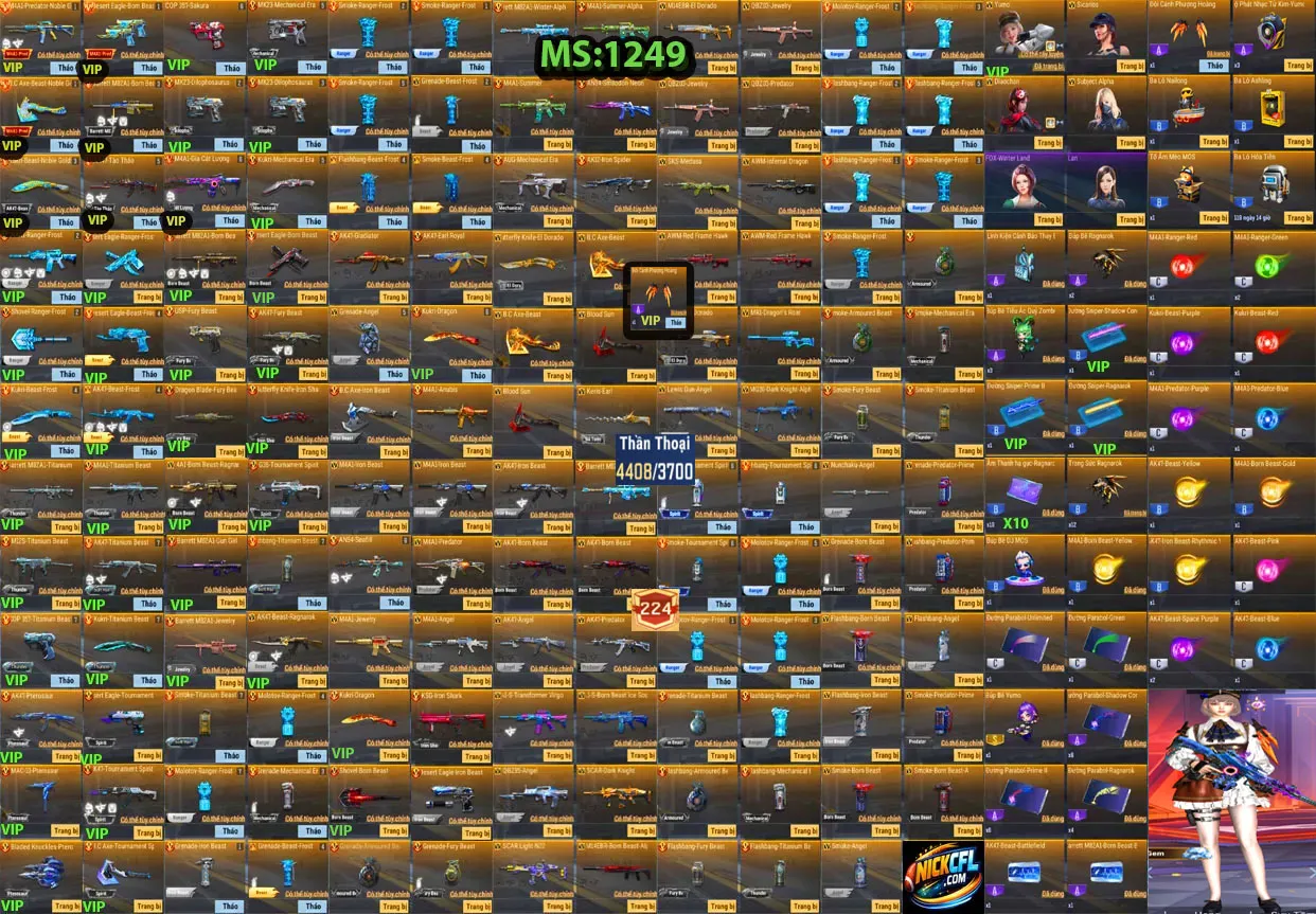 Account 1249