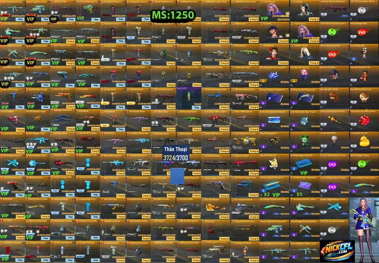 Account 1250