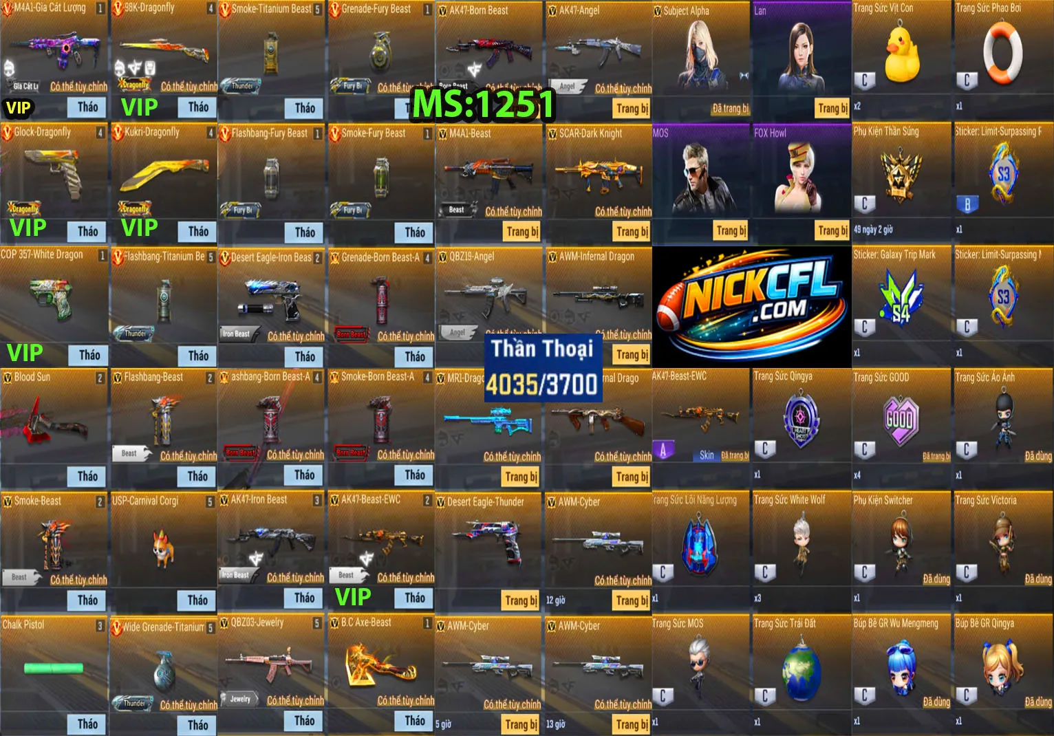 Account 1251