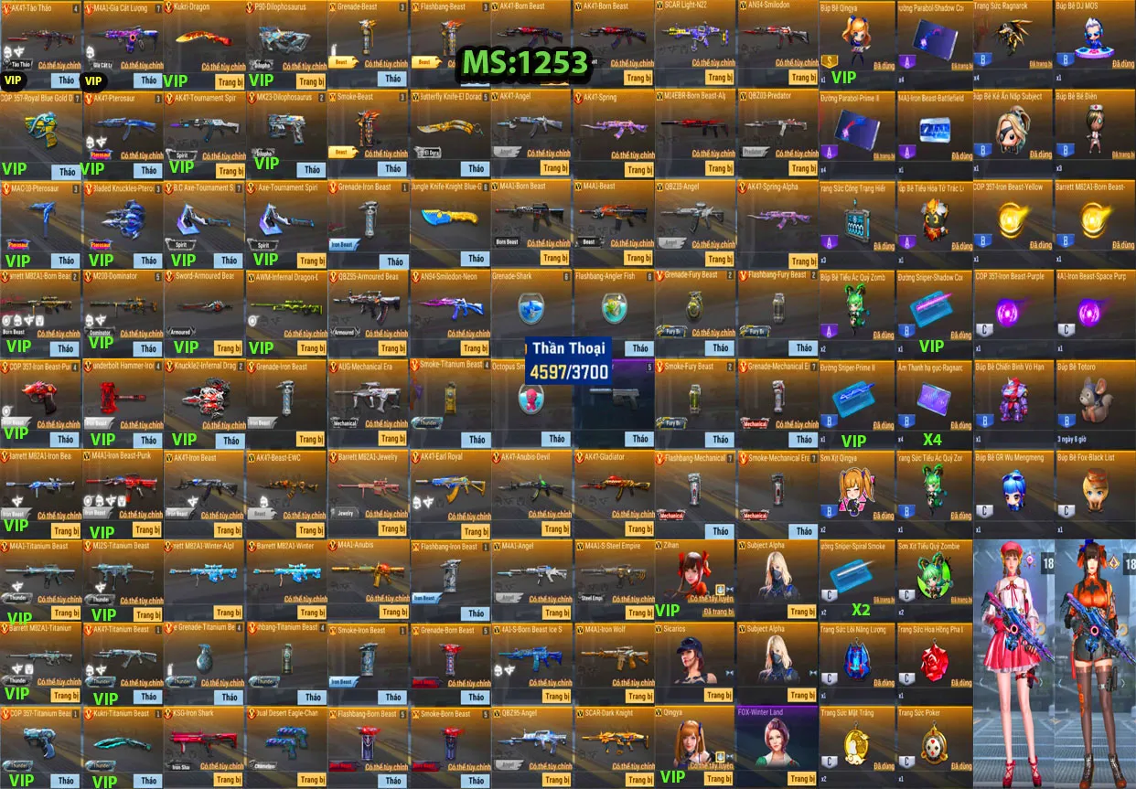Account 1253