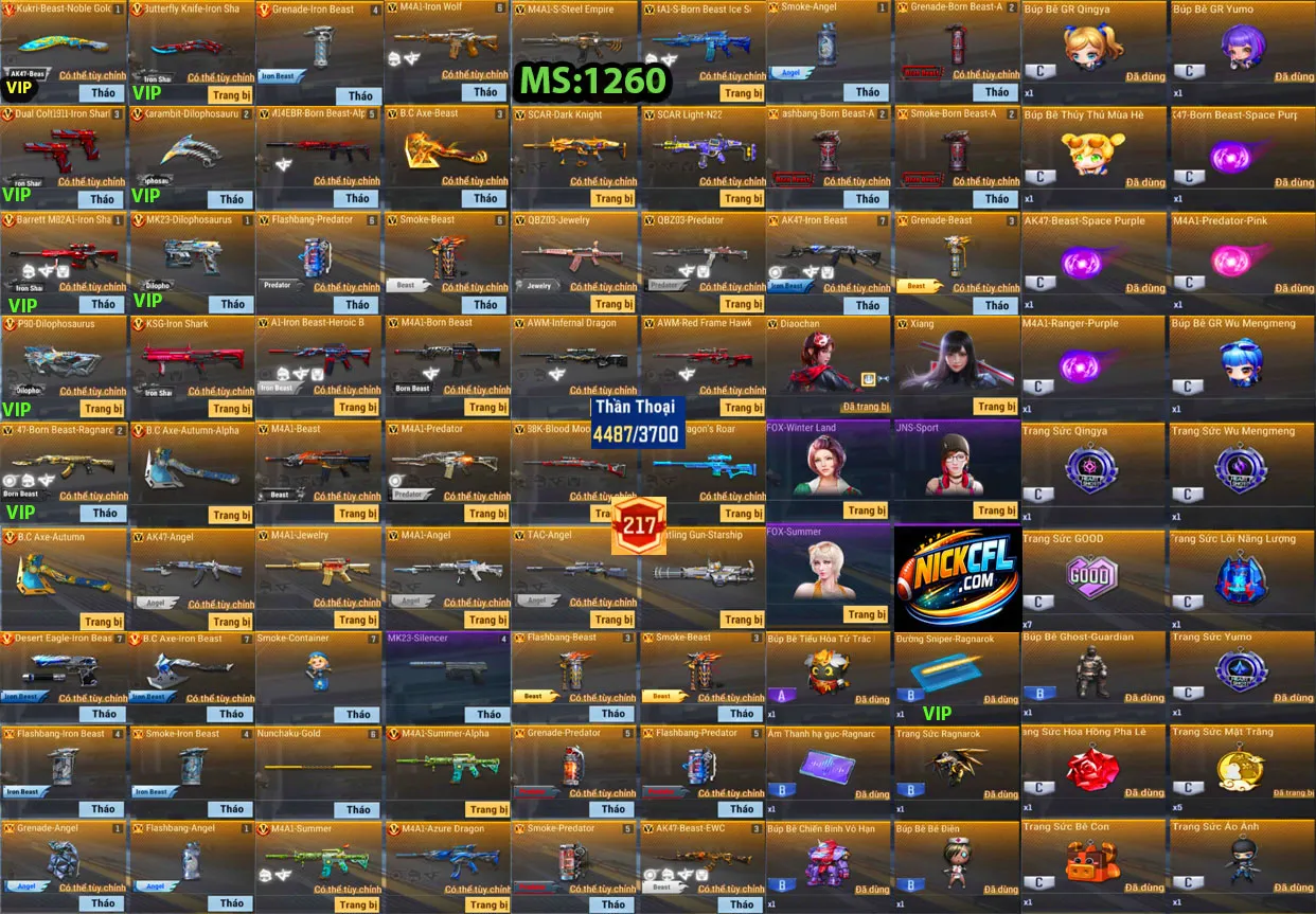 Account 1260