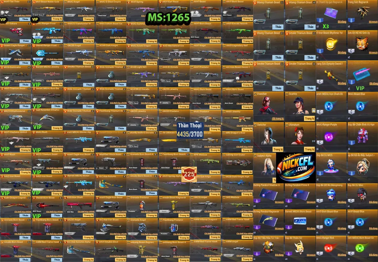 Account 1265
