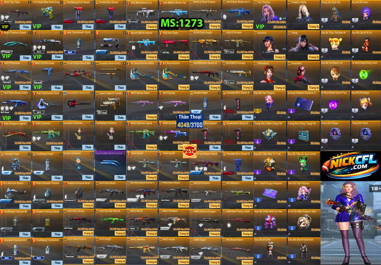 Account 1273