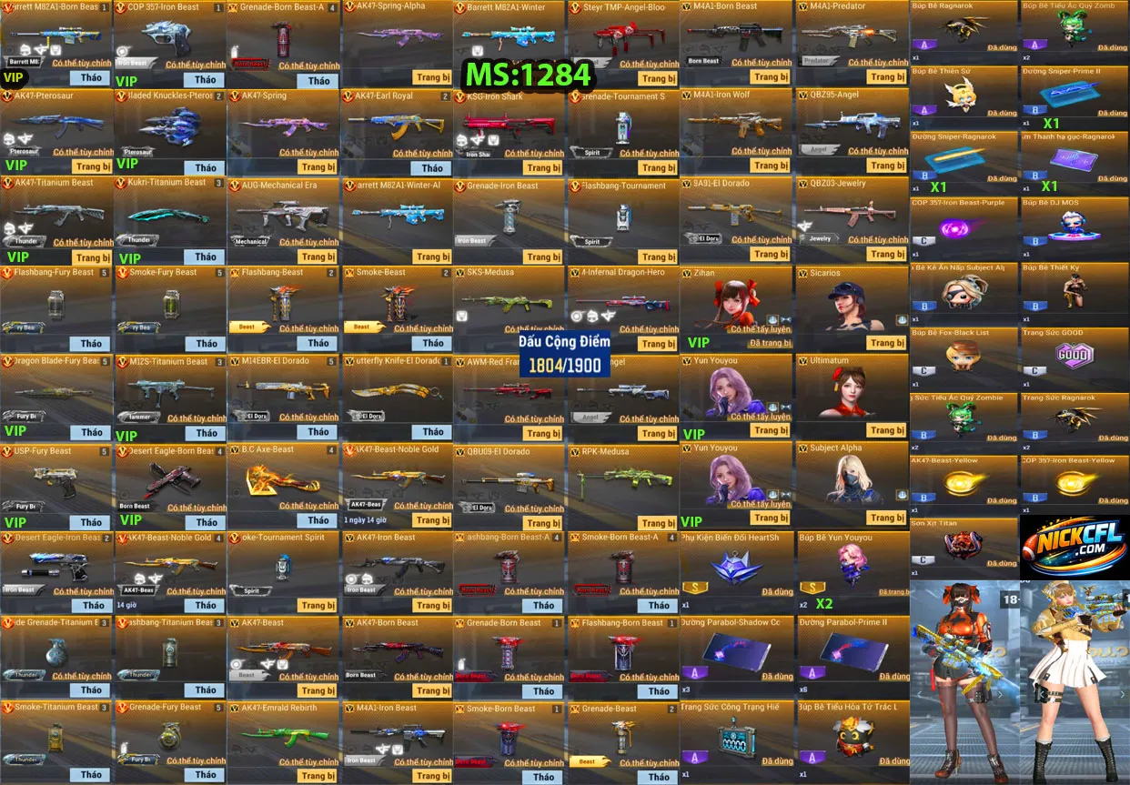 Account 1284