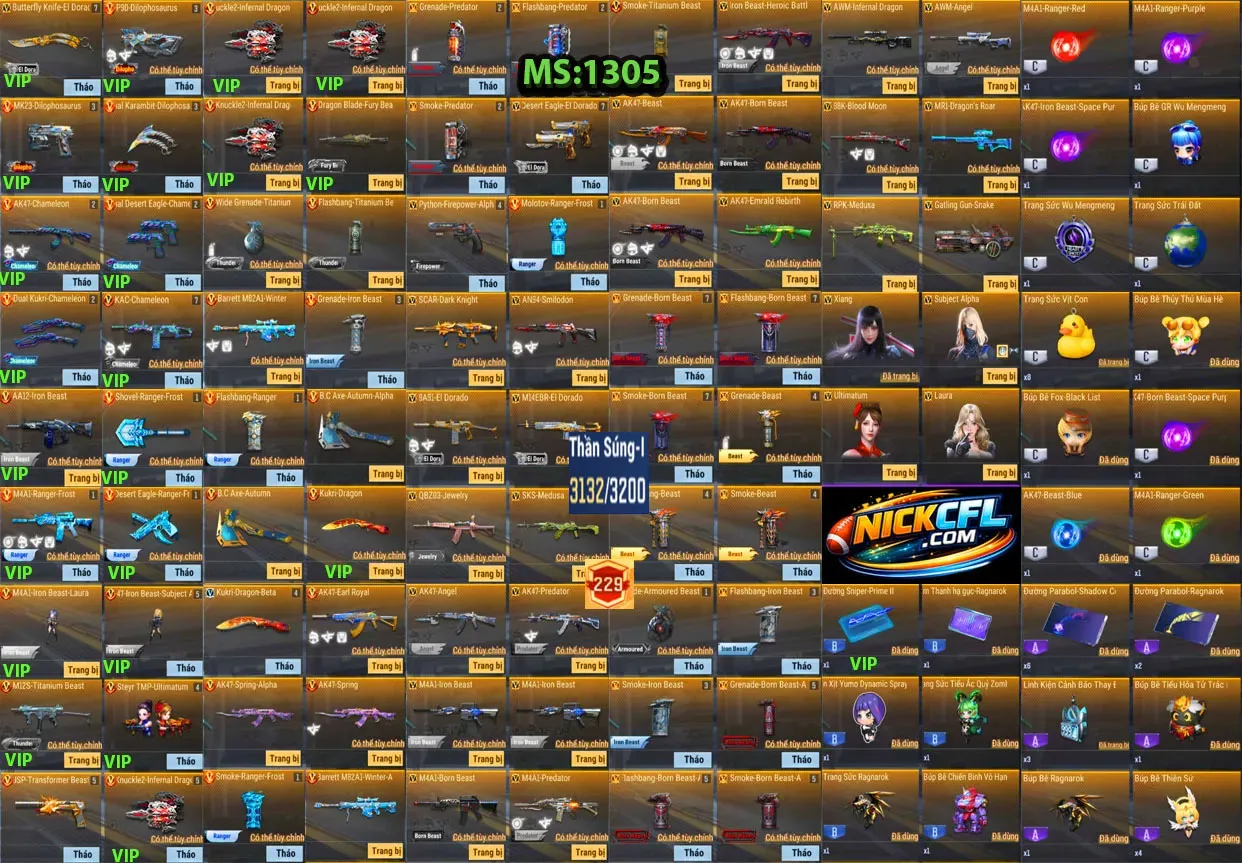 Account 1305