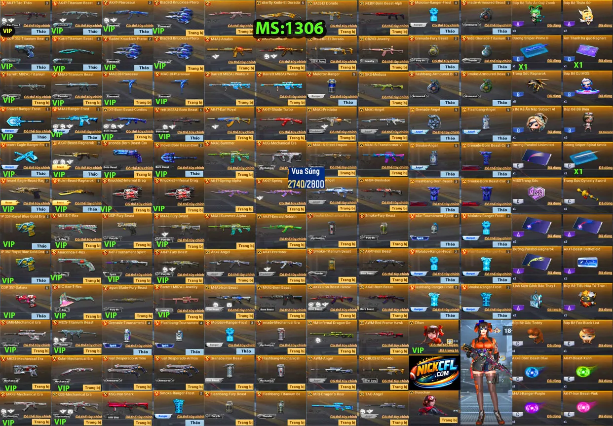 Account 1306