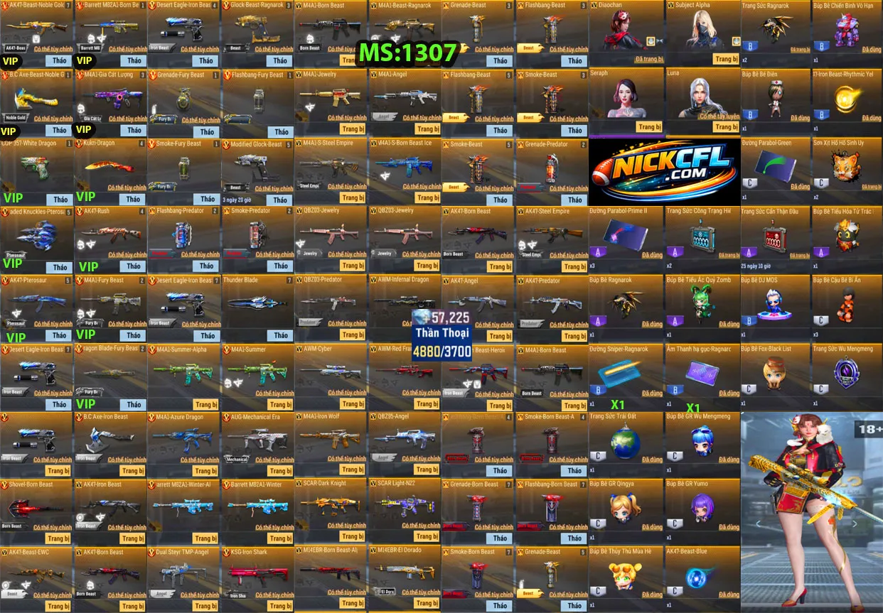 Account 1307