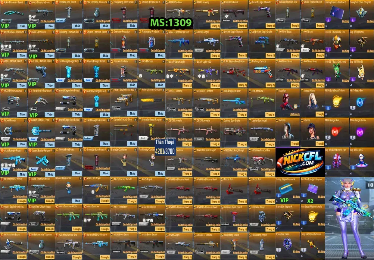 Account 1309